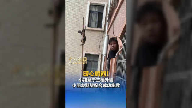 小猫悬于三楼外墙，小朋友默契配合成功施救